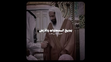 تلاوة بديعة أيوبية! - للشيخ أحمد بن طالب 🤍🎧..