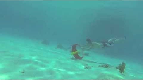 Diveboard Underwater GoPro Video