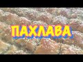 ТУРЦИЯ 2017 / Пахлава по-турецки / Рецепт пахлавы / вкусно и просто