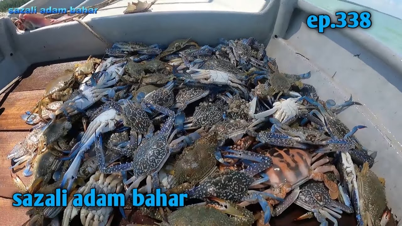 Jaring ketam ep.338