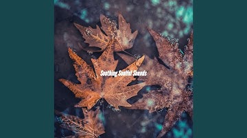 Breathtaking Moods for Summer Changes