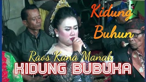 Ngagelena Suara Sinden Dewi Nada Kidung Bubuka Pangrajah Jaipong Dangdut#Dewinada#kidungbuhun