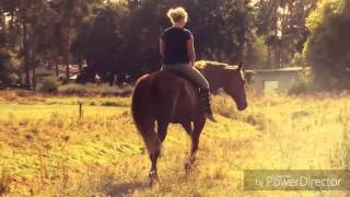 Очень красивый клип про лошадей!