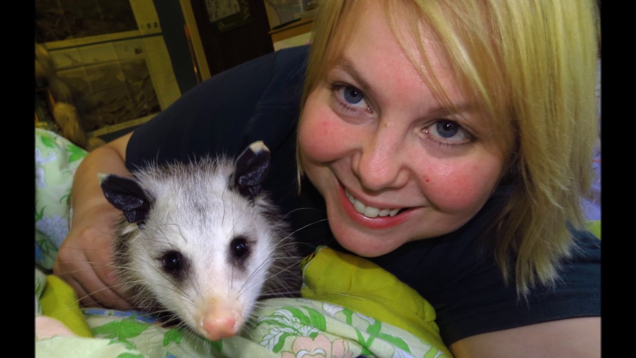 petco hours Pooka 'Possum's Memorial Video