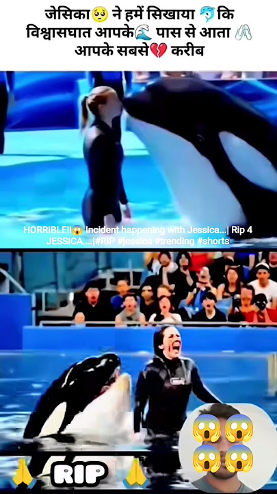 HORRIBLE!!😱 Incident happening with Jessica...| Rip 4 JESSICA...|#dolphin #jessica #trending #shorts