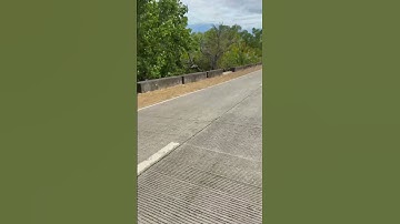 Drive along the Nipa Plantation