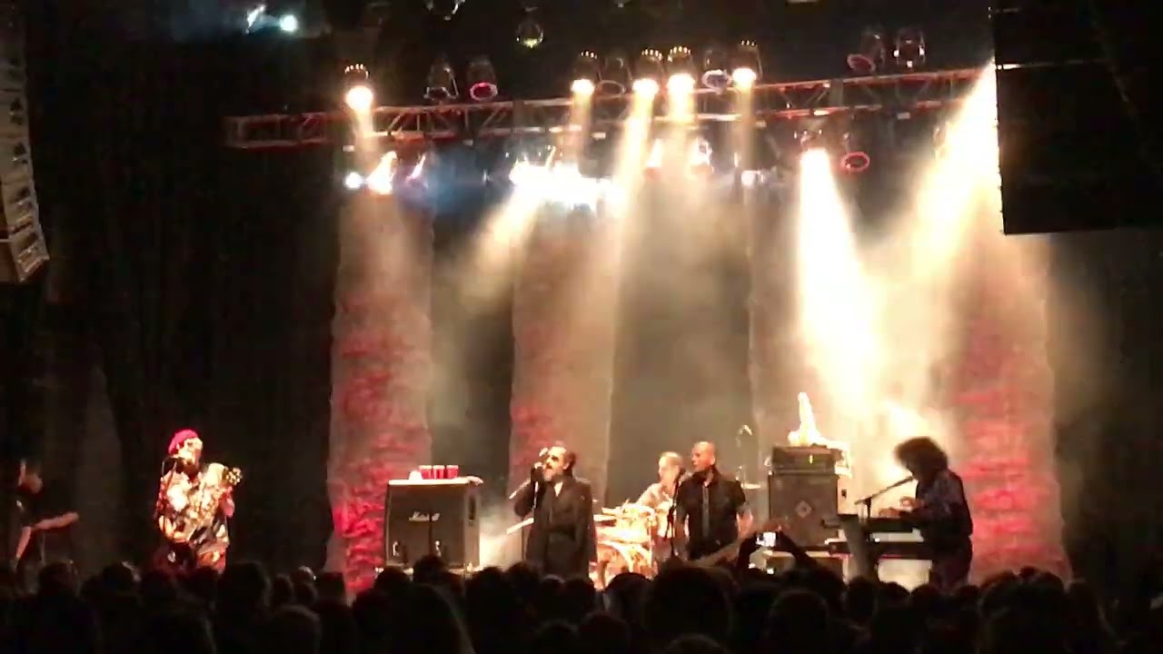 The Damned