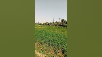 سورة النمل الآية (28 )