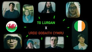 Urdd Gobaith Cymru x TG Lurgan – Blinding Lights yn Gymraeg/as Gaeilge