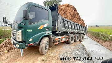 Siêu xe tải Hoa mai chở đất đổ ben cực khoẻ | bác tài xế lái máy xúc ô tô hay nhất