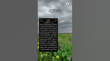 بسم الله الرحمن الرحيم    تلاوة ماتيسر من سورة الانعام