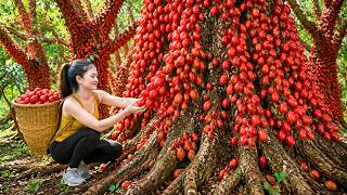 Harvesting Rare Wild Sour Grapes to Sell | Everyone Wanted These Rare Fruits