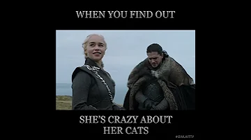 Game of Thrones - Starring my cat OwlKitty