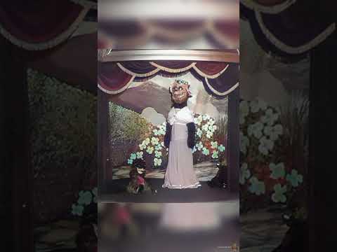 Van A Reconstruir El Show De Bear Country Jubilee Informativo Animatronics