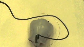 Finch Tutorial: Creating Shapes