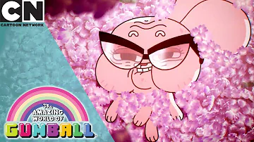 The Amazing World of Gumball | Grandpa's Story | Cartoon Network