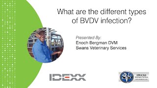 Webinar Series: What are the different types of BVDV infection? (2/9)