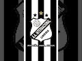 Hino do Inter de Limeira Versão 8-bits🖤🤍🦁 #futebol #interdelimeira #shorts