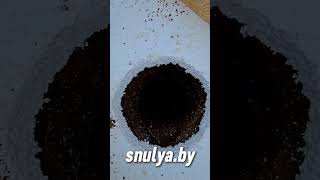 #snulya #недвижимость #стройка #shortvideo #фундамент #бетон #строительство #дом #дача