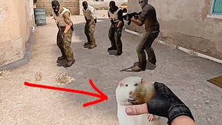 CSGO but weapons from childhood 2: