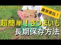 【保存版】サツマイモの育て方・長期保存方法【有機農家直伝！無農薬で育てる家庭菜園】