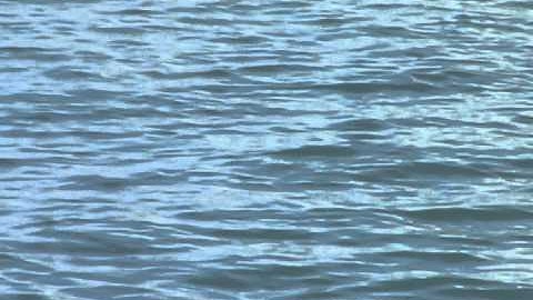 WikiVideo (Message Transmission Optimization Mechanism)