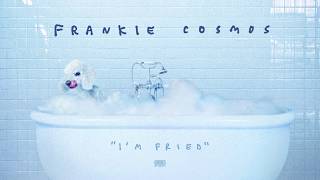 Video-Miniaturansicht von „Frankie Cosmos - I'm Fried“