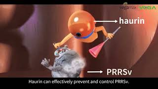 How about a-monolaurin function in PRRSv and ASFv?