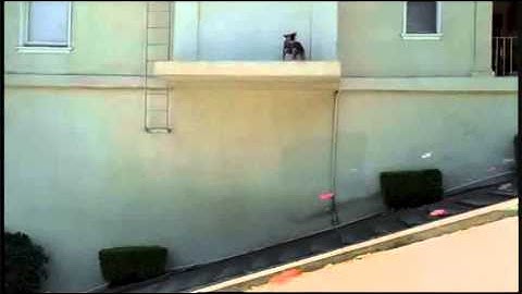 Jose Gonzalez - Heartbeats  (Miroslav Losonsky Remix) music video