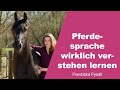 Motiva Training - Pferdesprache wirklich verstehen lernen - Franziska Pysall - 1