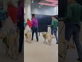 Purina TEAM PET | Episode 3 🐾