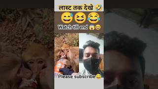 Maal piyenge shorts/Monkey funny/#shorts, #kisanvlog,#trending,#viralvideo,#sambalpurishorts,#viral