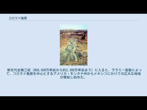 西南部で芝生を育てるプロのコツ
