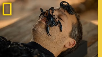 David Blaine Do Not Attempt | Sneak Peek | National Geographic