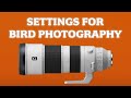 Sony 200-600mm Lens Settings for Bird & Wildlife Photography: My Setup for Capturing the Action