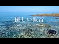 【自然音-波の音】海の浅瀬のとっても優しい水の音 / 海の波音 / 睡眠 瞑想 勉強 作業用 BGM 環境音 / リラックス・癒し / 自然音 Nature Sounds / ASMR / 恋の浦海岸