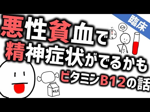 精神症状を招く悪性貧血［臨床］ビタミンB12欠乏が招く精神と身体の症状 『モリソン先生のルールアウト』No.1