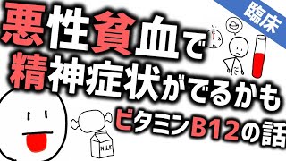 精神症状を招く悪性貧血［臨床］ビタミンB12欠乏が招く精神と身体の症状 『モリソン先生のルールアウト』No.1