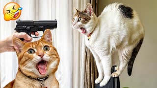 : Try Not To Laugh Cats And Dogs Videos  - Best Funniest Animals Video 2024 #4