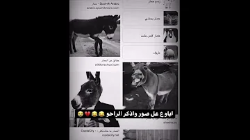 اباوع بالصور واتذكر الراحو 