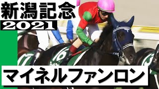 マイネルファンロン の競走馬情報 Pog Info