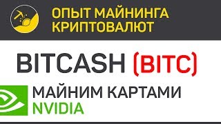 BitCash (BITC) майним картами Nvidia (algo X16R) | Выпуск 178 | Опыт майнинга криптовалют BitCash (BITC) майним картами Nvidia (algo X16R) | Выпуск 178 | Опыт майнинга криптовалют