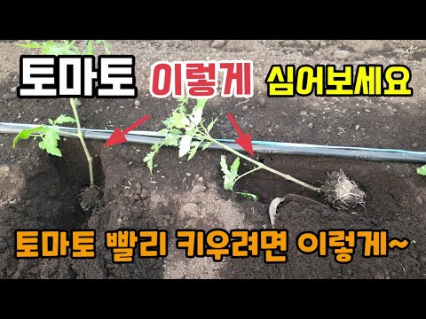 유튜브 미리보기