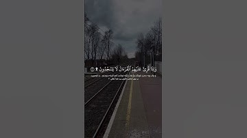 سورة الانشقاق | قارئ أحمد خضر 🍁🤍