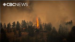 Thousands of residents around Okanagan Lake forced to leave ahead of advancing flames