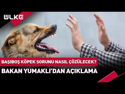 ผลสลากกินแบ่งรัฐบาล วันที่ 1 พย. 2567