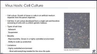 Tips and Techniques for Propagating your Viral Strains
