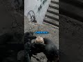 His airsoft grenade exploded in his hand.💀