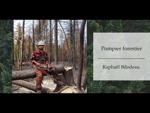 Comment Devenir Pompier Forestier