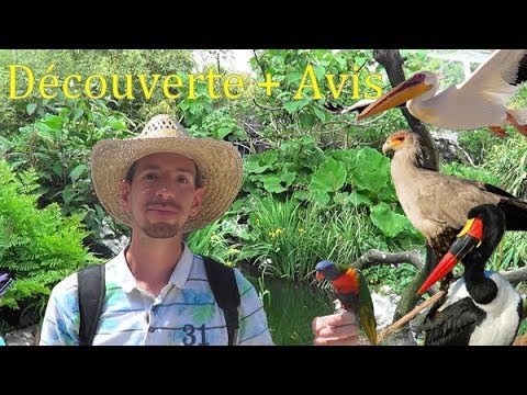 PARC DES OISEAUX (Villars-les-Dombes)